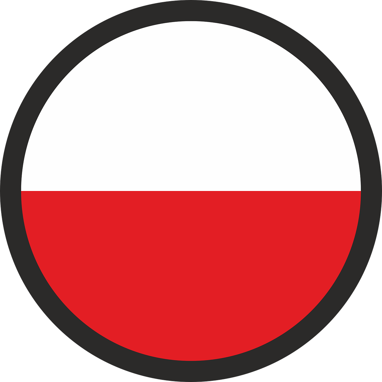Język Polski materiały PDF
